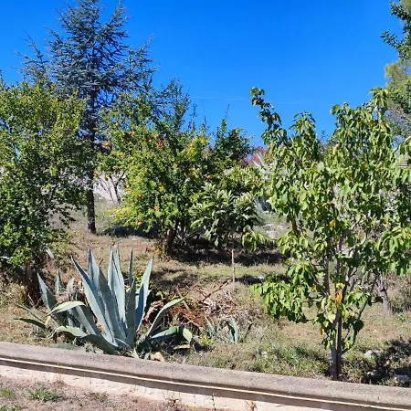 Bed & Breakfast Dimora Donna Rita - *