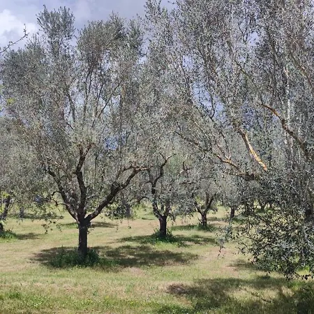 Bed & Breakfast Dimora Donna Rita -