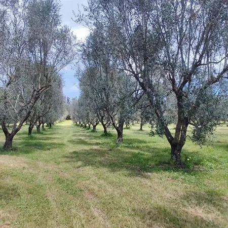 Bed & Breakfast Dimora Donna Rita - *